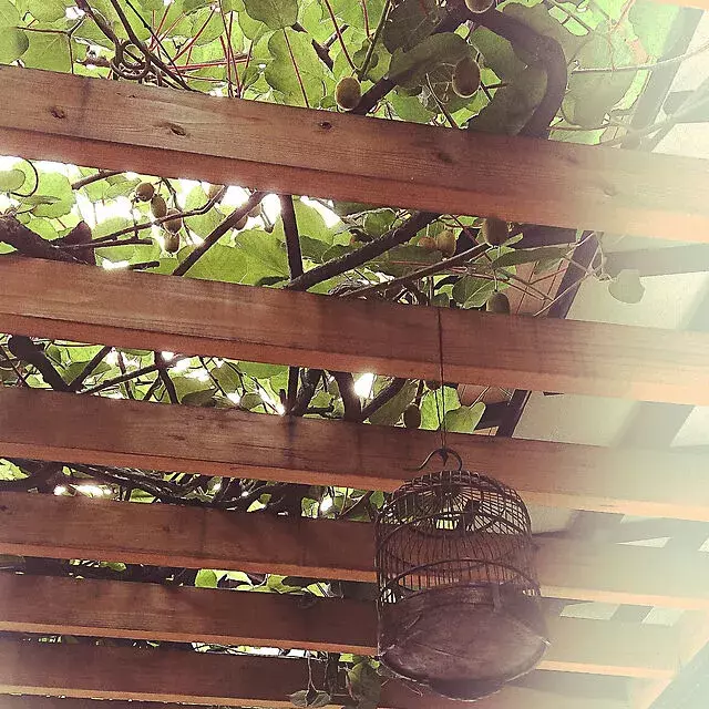 ガーデニングにもデッキの屋根にも パーゴラのある暮らし ローリエプレス