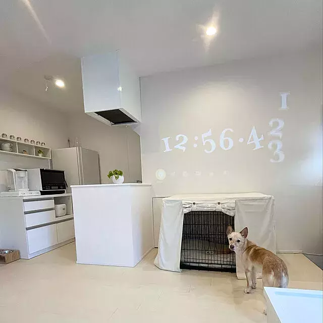 25 5m2 ホワイト ナチュラル 中型犬と快適に暮らすワンルームのつくり方 By Maruさん ローリエプレス
