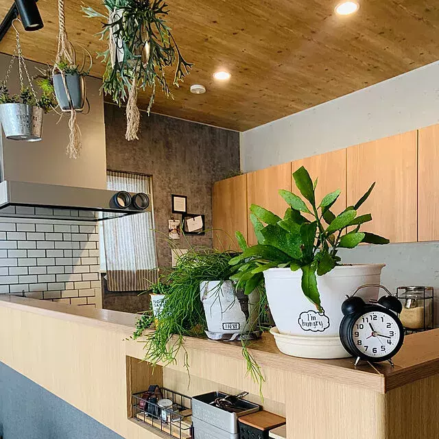 シンプルだから飾り方で印象が変わる お部屋別ニトリの時計ディスプレイ ローリエプレス