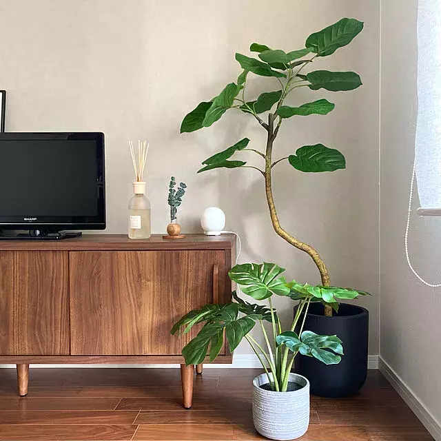 おうちにさわやかな癒しをプラス ニトリのフェイクグリーン ローリエプレス