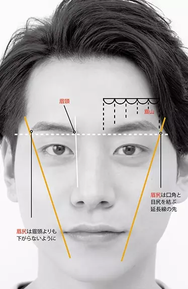 セルフ眉カット で作れるメンズ眉毛の黄金比 伝授します ローリエプレス