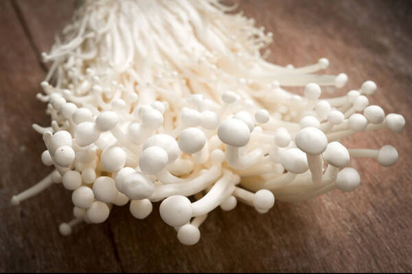 美人なのに 鼻からキノコが生えている 角栓の飛び出し注意 美容事情通が見たダメol図鑑 ローリエプレス