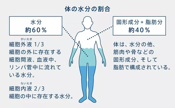 猛暑も冷房も辛い 夏のむくみサヨナラ たった10分 自分で簡単にできるむくみ対策 ローリエプレス