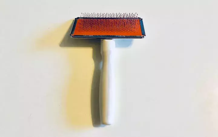 お買い得すぎ 犬マニアが唸る 100均 で出合った 神ペットグッズ 3選 ローリエプレス