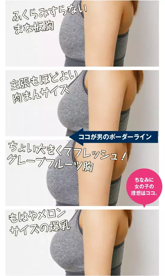 体型はハードル低め 脚 ぜい肉 胸の大きさetc 男が理想のボーダーライン ローリエプレス