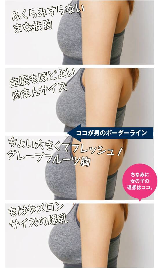 体型はハードル低め 脚 ぜい肉 胸の大きさetc 男が理想のボーダーライン ローリエプレス