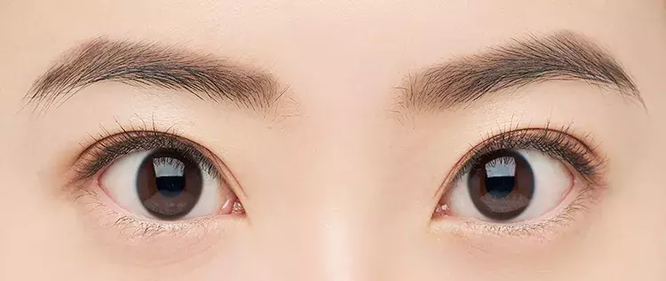 濃い眉でもok 今日可愛いね とほめられる ふんわり美眉の作り方 ローリエプレス