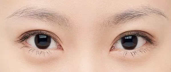 美人度急上昇 あか抜けが叶うナチュラルな 上品眉 をレクチャー ローリエプレス