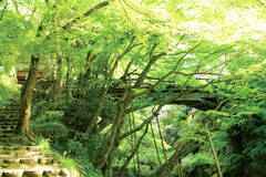 北陸随一の渓谷美！ 石川県の名湯・山中温泉の風景を楽しもう