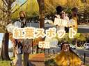 【2023年11月更新】東京のおすすめ紅葉スポットを5選ご紹介♡紅葉バックにインスタ映えさせちゃお♪
