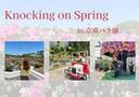 【京成バラ園】期間限定イベント・Knocking on Springが開催中！「不思議の国のアリス」の世界観に浸りながら、春のバラ園を楽しんじゃおう♡
