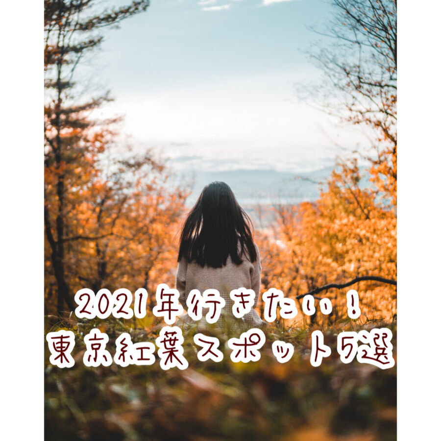 【2021年最新】東京紅葉スポット5選♡見頃や穴場な情報もの2枚目の画像