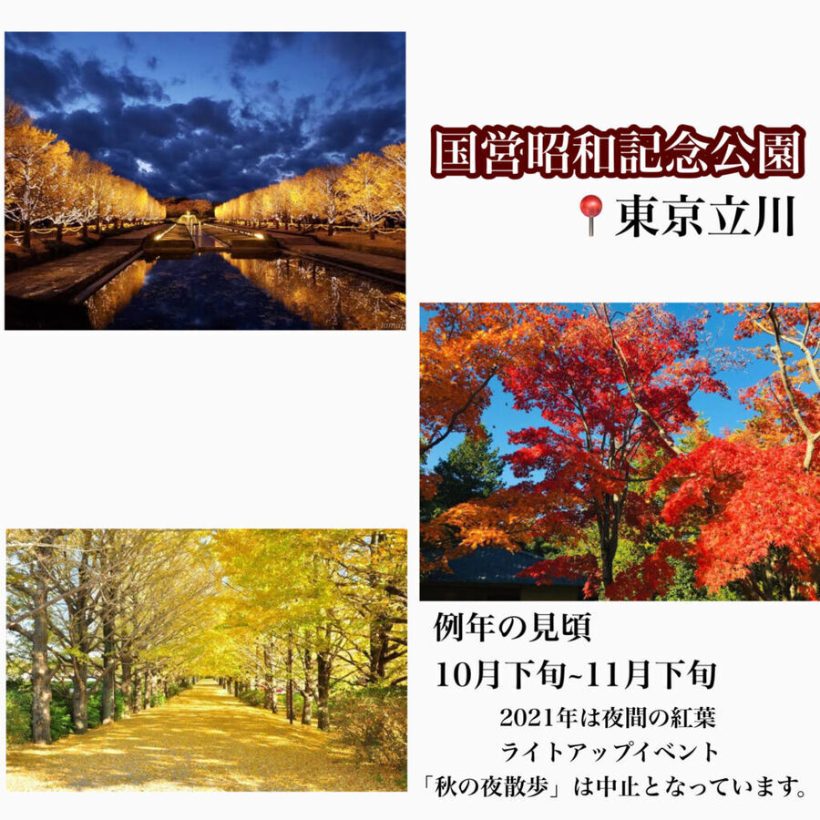 【2021年最新】東京紅葉スポット5選♡見頃や穴場な情報もの3枚目の画像