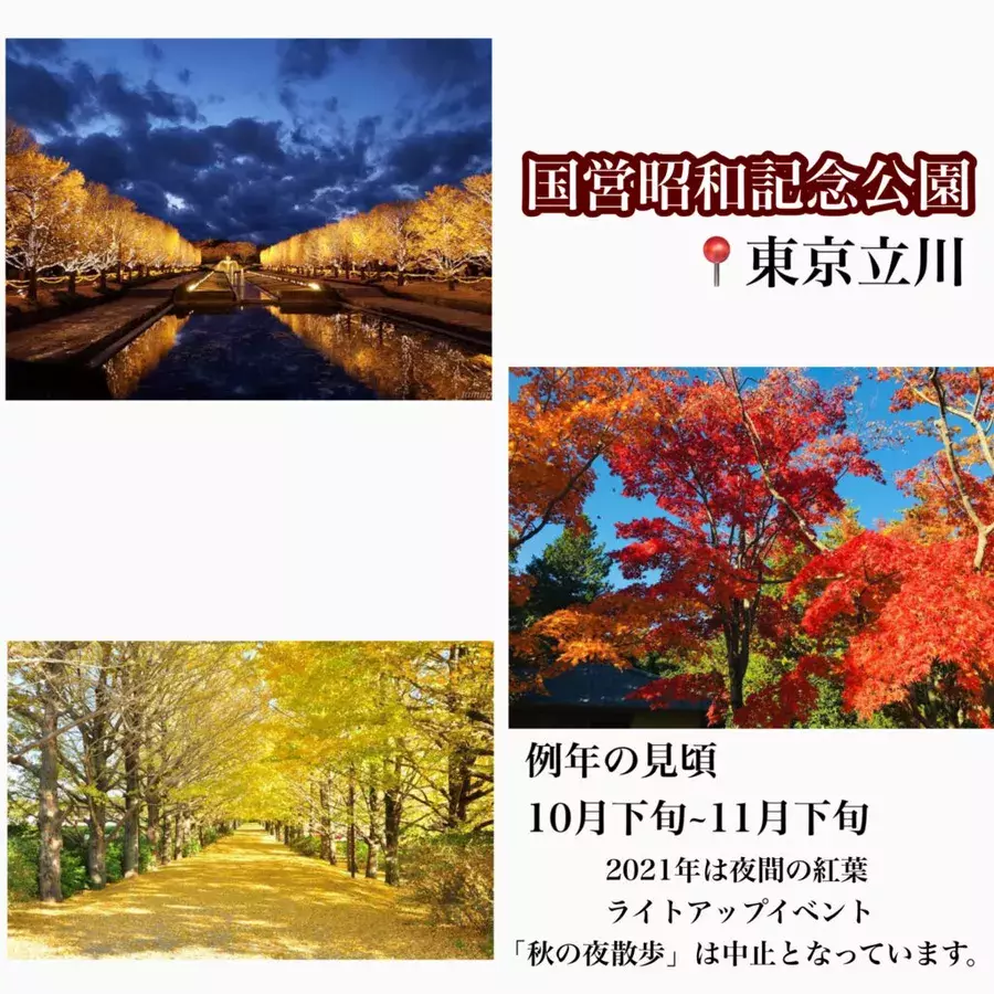 21年最新 東京紅葉スポット5選 見頃や穴場な情報も ローリエプレス