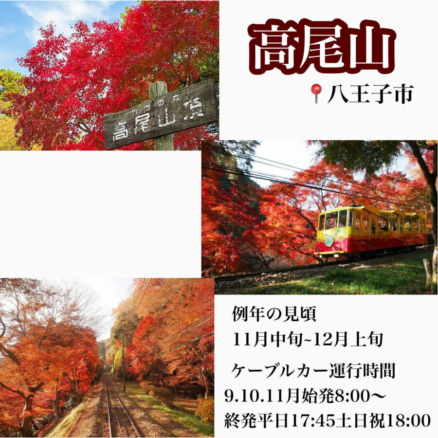 【2021年最新】東京紅葉スポット5選♡見頃や穴場な情報もの11枚目の画像