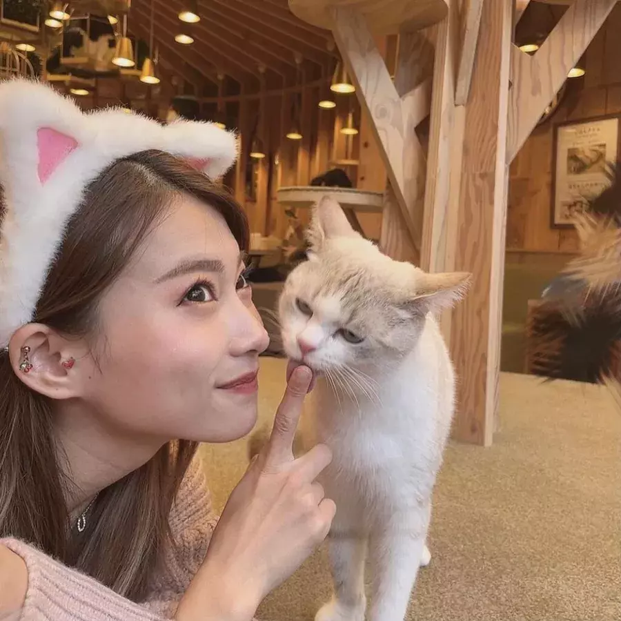 猫好き必見 Sns映えする東京の人気猫カフェ3選 デートにもおすすめ ローリエプレス