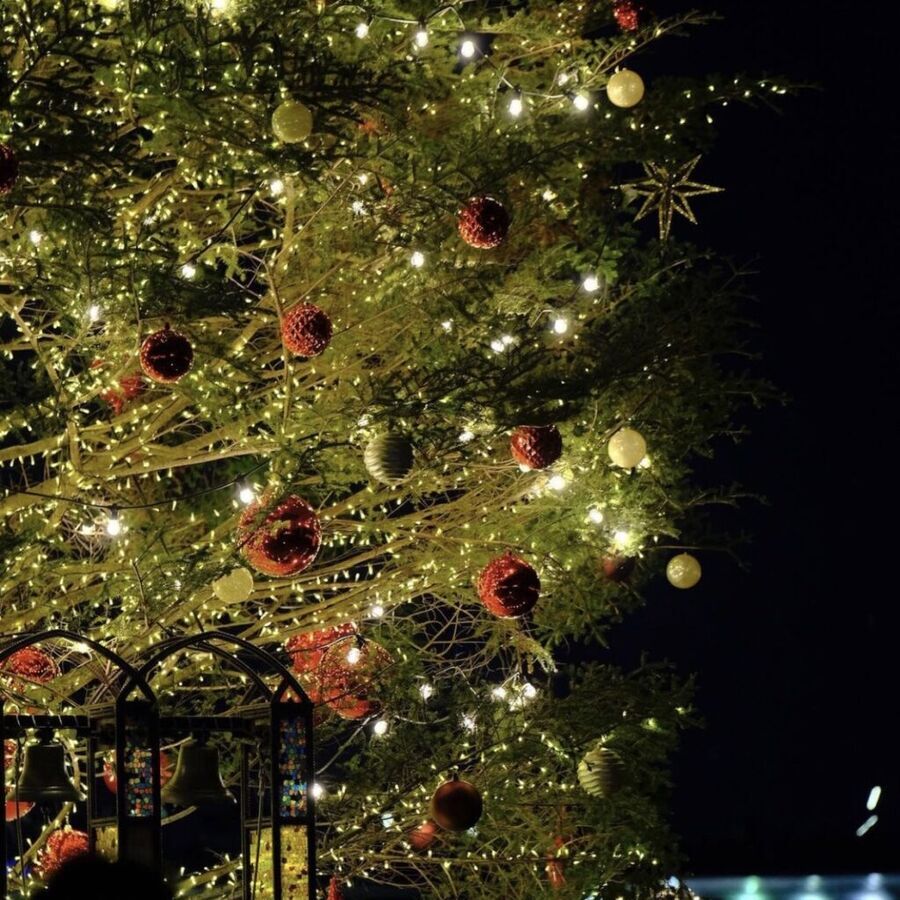 【2021年版】東京都内&横浜のクリスマスマーケット3選♡日比谷,赤レンガ,六本木などの9枚目の画像