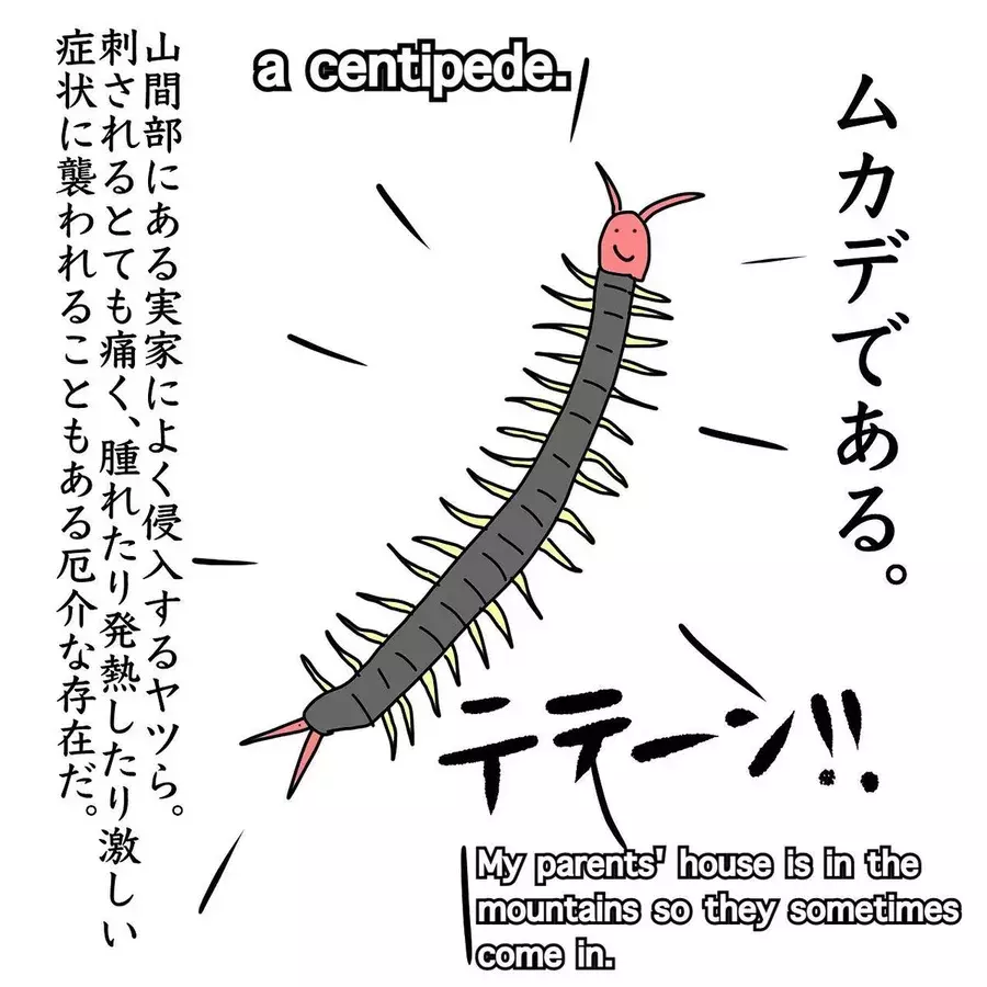 漫画 仏のように温厚だけど 刺されると厄介な ムカデ を前にすると豹変する母 家の中に入ろうものなら 温厚な母 ローリエプレス