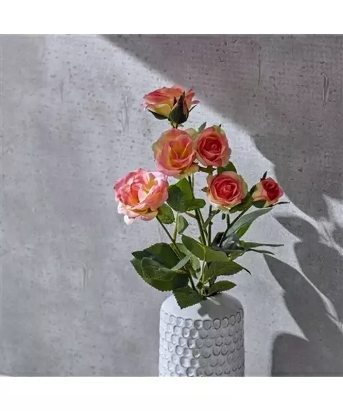 花のある暮らしの第一歩 置くだけでおしゃれなフラワーベース 花瓶 ローリエプレス