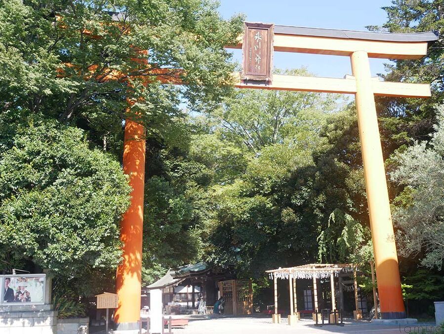 朝から川越氷川神社に行列！　1日20個限定の縁結び玉が大人気♡の2枚目の画像