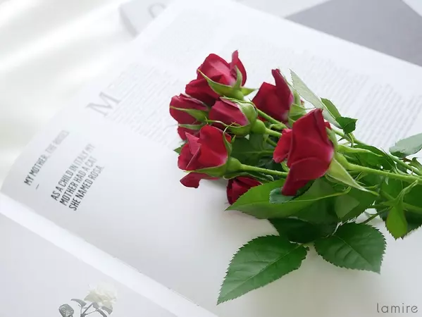お花選びがもっと楽しくなりそうな予感 実は奥が深い 花言葉 の世界 ローリエプレス