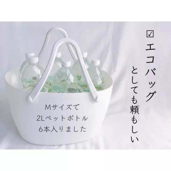 まさかダイソーで 万能なあのバッグを破格で見つけちゃいました ローリエプレス