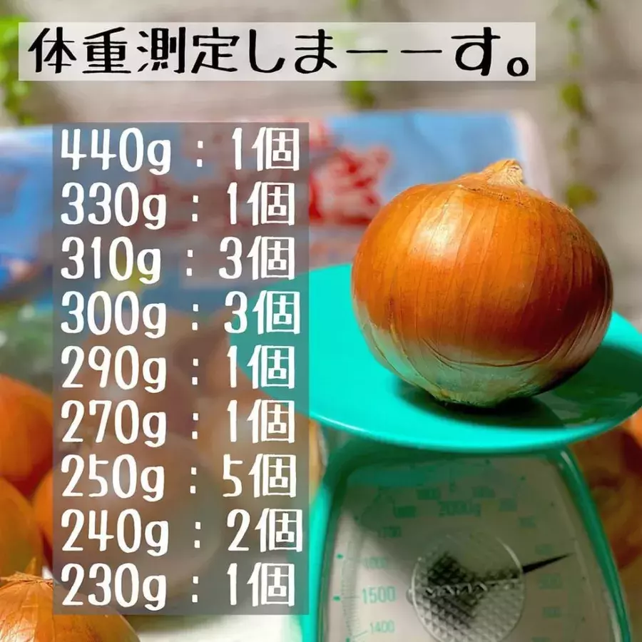 待って めっちゃお得じゃん コストコの とある野菜 は大容量で絶対買いっ ローリエプレス