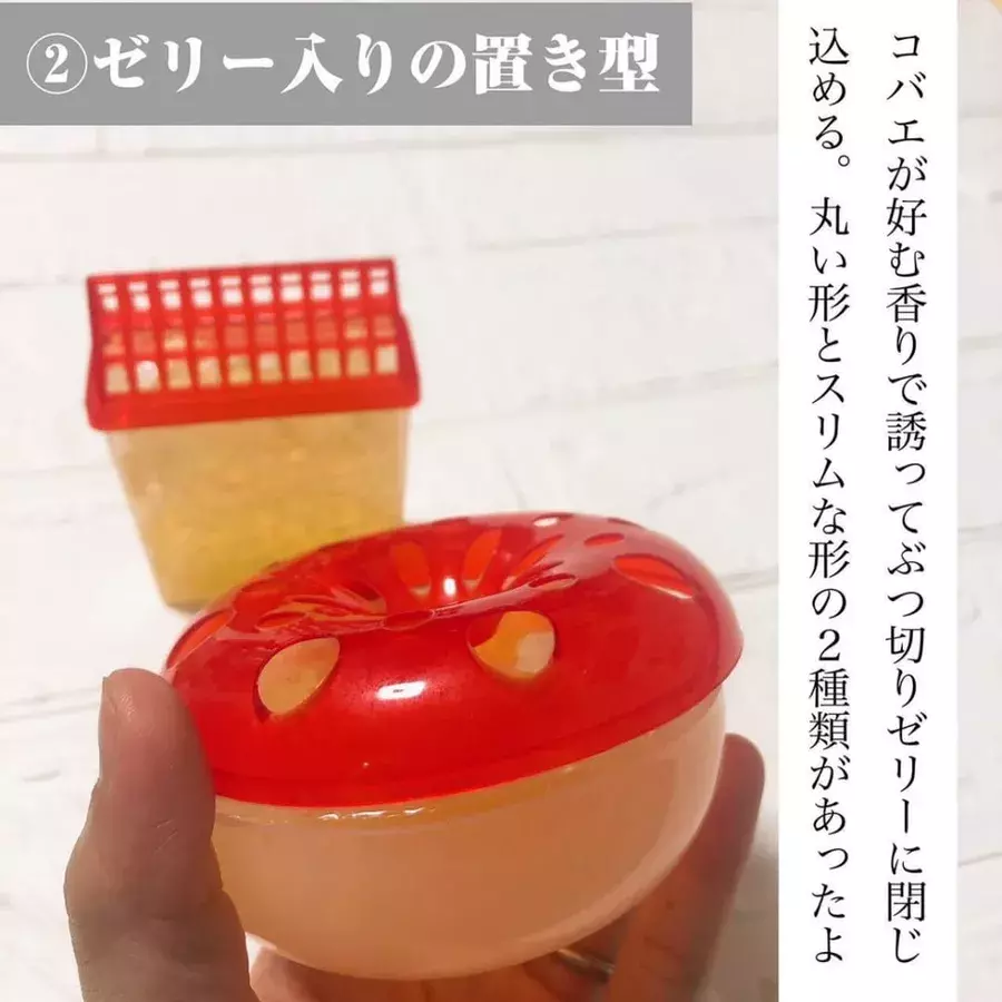 ダイソーさんで万全の対策 この時期大活躍な 虫よけグッズ が超優秀すぎる ローリエプレス