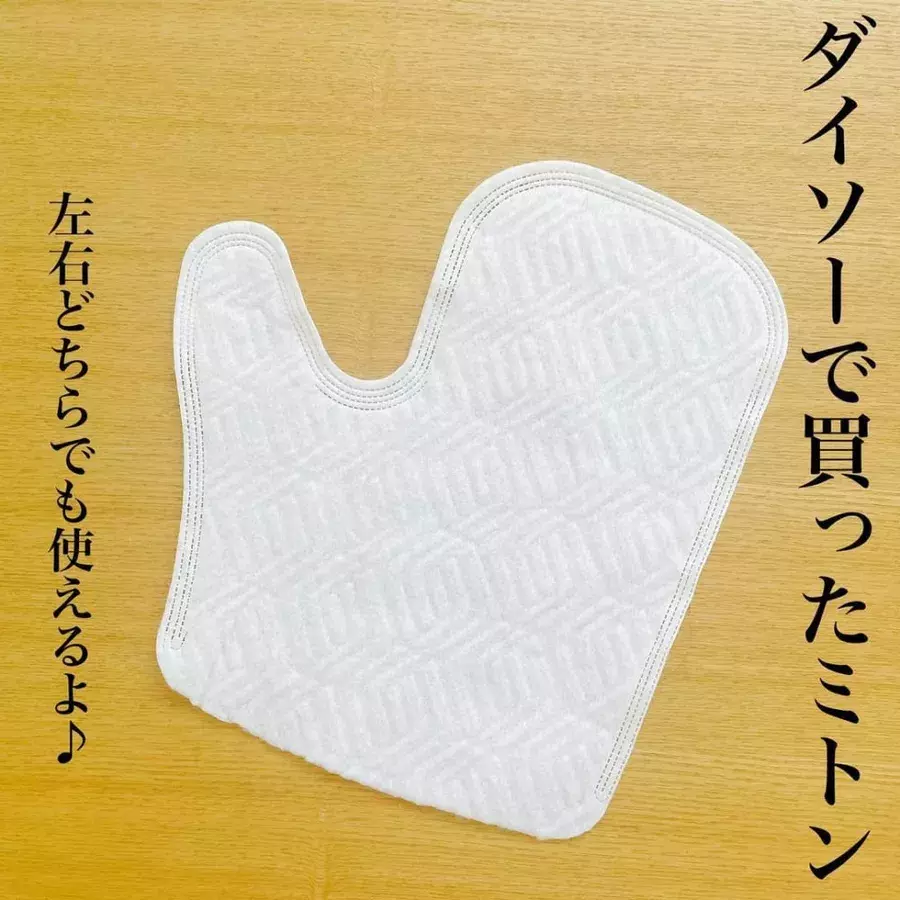 蓄積する 取り除く 吸収 ミトン グローブ 作り方 モート 豚肉 騙す