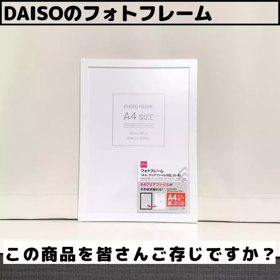 これが欲しかった ダイソーで話題の とあるフレーム はアレ専用に使える ローリエプレス
