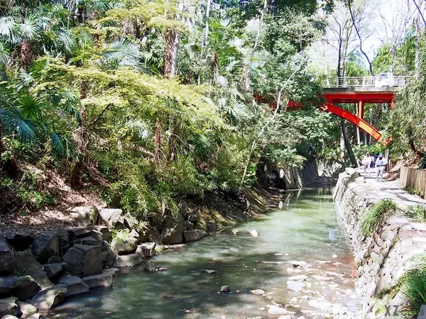 自然の中でホッと一息 毎日頑張る大人女子に捧ぐ 都内のオアシス ローリエプレス