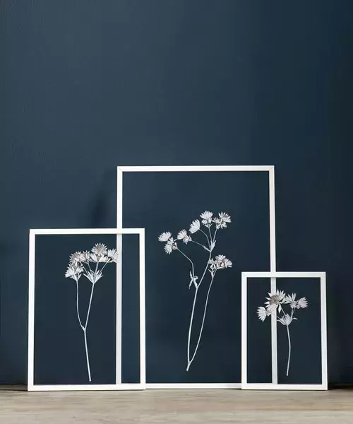 花のある暮らし 透明額縁 を使ったインテリアがおしゃれすぎ ローリエプレス 花のある暮らし 透明額縁 を使ったインテリアがおしゃれすぎ ローリエプレス