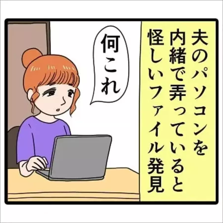 漫画 きっ気持ち悪い 内緒で開いた夫のパソコンに怪しいファイルが 開くと 見知らぬ女性の画像 が大量に出てきて ローリエプレス