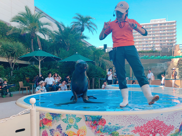 都内 水族館 デート デート