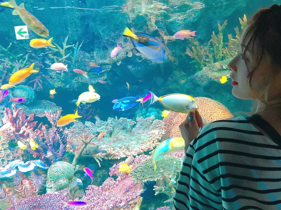 休日デート 水族館編 魔法の暗さで彼との距離密着 ローリエプレス