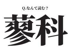 夏は避暑地！冬はスキー場！【蓼科】この漢字、なんて読む？