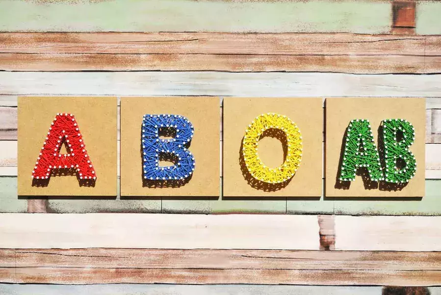 Ab型女子さん の取扱説明書 ローリエプレス Ab型女子さん の取扱説明書 ローリエプレス