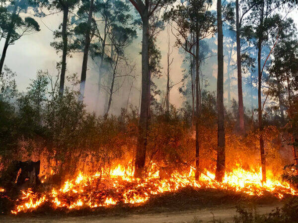 種類別 火事の夢が暗示する意味30選 読み解くカギは夢の状況 ローリエプレス