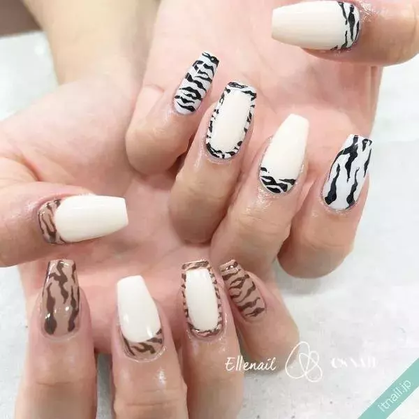 ミル 残り物 やろう ゼブラ ネイル ファセット 感謝している 無秩序