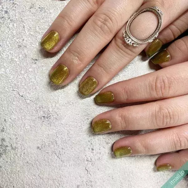 秋イチオシの マグネットネイル 特集 おすすめの色 デザイン 21 ローリエプレス 秋イチオシの マグネットネイル 特集 おすすめの色 デザイン 21 ローリエプレス