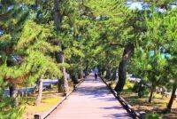 静岡の世界文化遺産・三保の松原に佇む「羽車神社」！