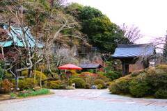 鎌倉で知られる花の寺！薬師如来を祀る「海蔵寺」