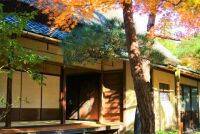 知る人ぞ知る紅葉の新名所！鎌倉の「一条恵観山荘」