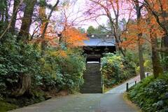 紅葉が美しい鎌倉の観光スポット！静寂に包まれた「妙本寺」