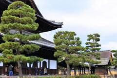 京都最古の禅寺！紅葉の名所で知られる京都「建仁寺」