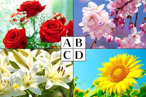 心理テスト 好きな花でわかる あなたに惹かれる人 ローリエプレス