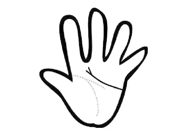 手相で占う 女遊びが激しいひと ローリエプレス 手相で占う 女遊びが激しいひと ローリエプレス