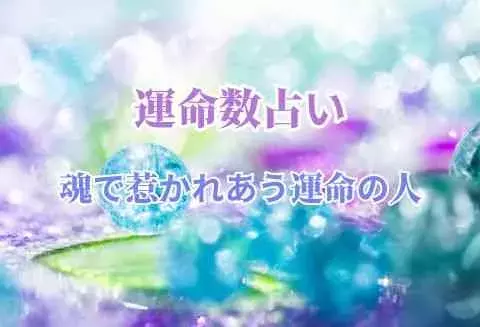 数秘術で占う 魂で惹かれあう運命の人 ローリエプレス