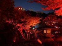 秋、開花! 八芳園の庭園が真っ赤に染まる『TOKYO RED GARDEN AUTUMN FESTIVAL 2023』