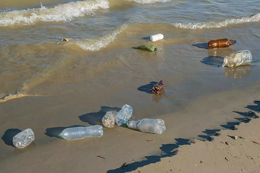 海の環境問題 原因と現状は 海洋汚染や漁業問題についても解説 ローリエプレス